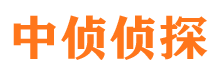 江夏市婚外情调查